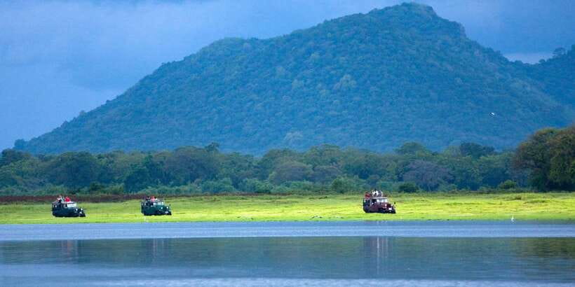 Udawalawe National Park Private Full-Day Safari - Why Udawalawe works for a full-day safari