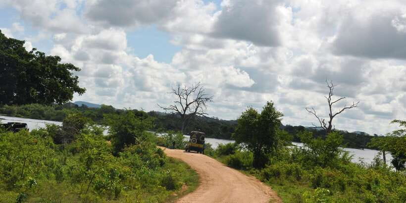 Udawalawe National Park Private Full-Day Safari - Is $50 per person good value?