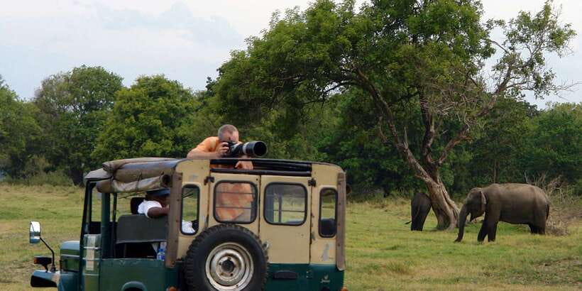 Udawalawe National Park Private Full-Day Safari - Booking details worth checking