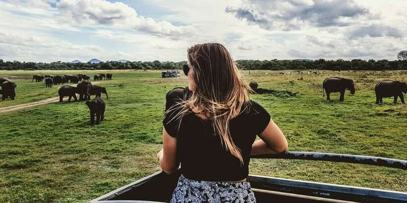 Udawalawe: National park safari & Elephant Transit Home Tour - The best time to start