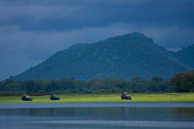 Udawalawe National Park Safari from Bentota - Why Udawalawe makes sense from Bentota