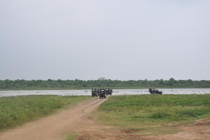 Udawalawe National Park Safari from Bentota - Food, water, and what you need to budget