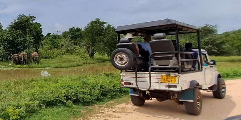 Udawalawe National Park Safari Tour - Key points to know before you book