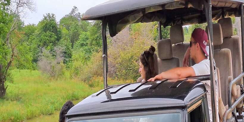 Udawalawe National Park Safari Tour - How this safari compares with a shared outing
