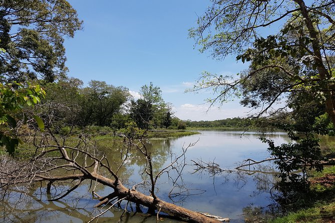 Udawalawe National Park Safari trip from Galle/Mirissa/Ella - What the $190 price really covers