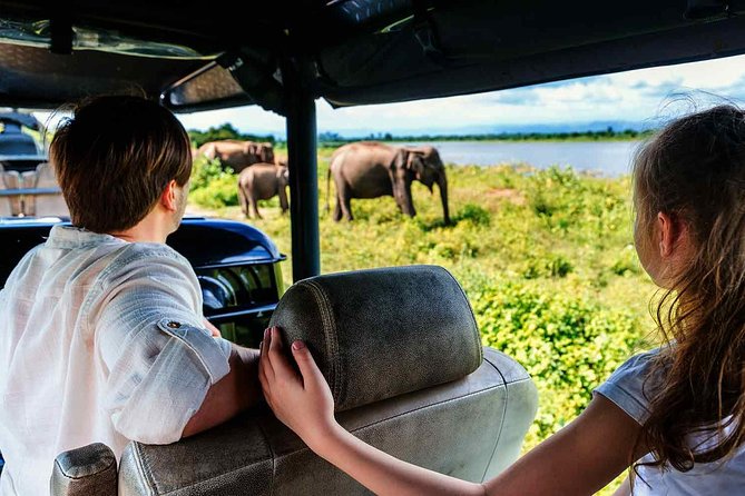 Udawalawe National Park Safari with Elephant Transit Home Visit - Timing, comfort, and group size