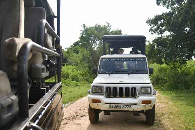 Udawalawe National Park Wildlife Safari Tours - Is $84 per person fair value?
