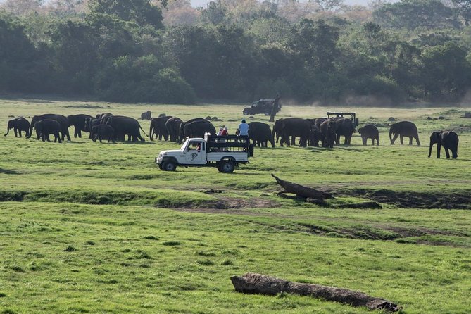 Udawalawe Private Safari frm Hambantota Port by BTM-All Inclusive - The private format and what it changes