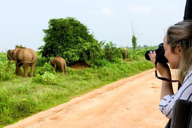 Udawalawe Private Safari frm Hambantota Port by BTM-All Inclusive - Who will enjoy this safari most?