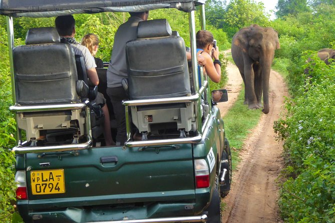 Udawalawe Safari Day Trip from South Region & Transfer to Ella - Weather, cancellation, and simple planning advice