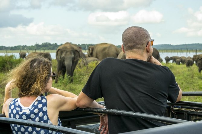 Udawalawe Safari Day Trip with Return Transport - All Inclusive - Three hours among Udawalawe’s elephants