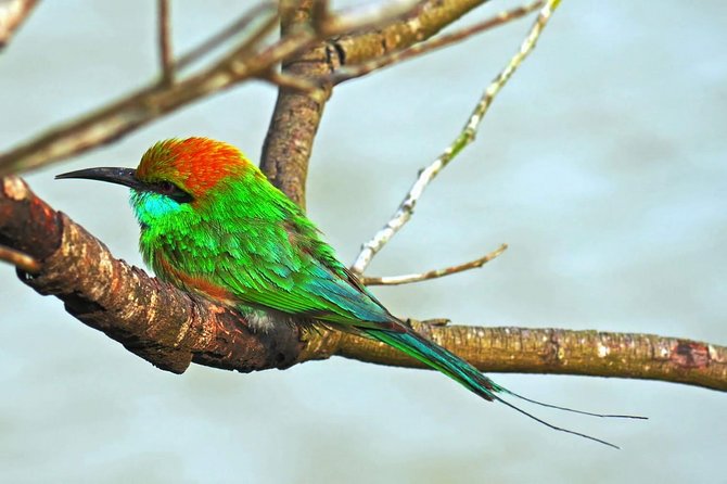 Udawalawe Safari Day Trip with Return Transport - All Inclusive - Practical details before you reserve