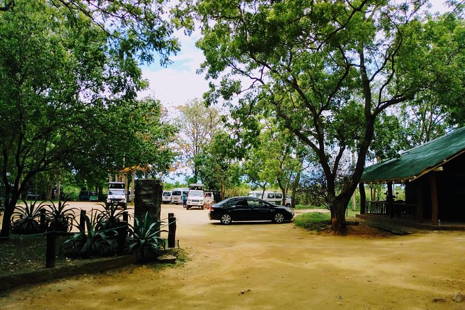 Udawalawe Safari - Private & Customize Tour - Elephants, birds, and the value of patience