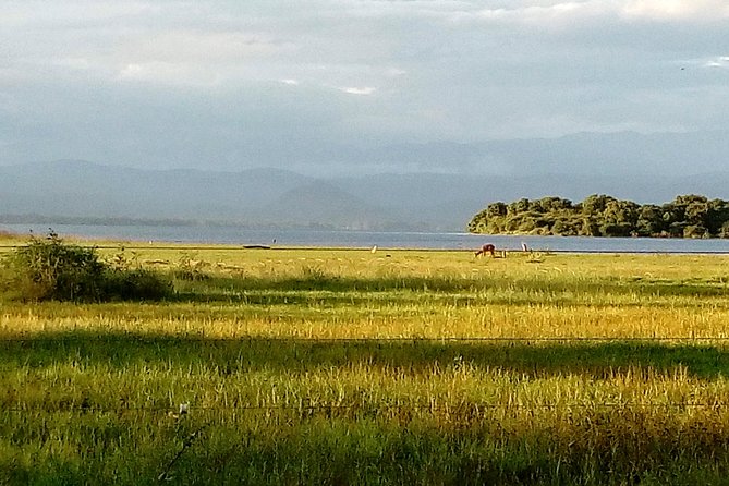 Udawalawe Safari - Private & Customize Tour - The road transfer and what it means for your day