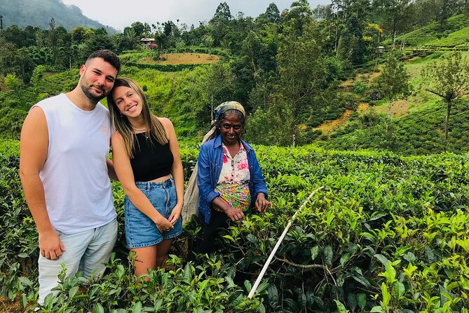 Ultimate 8-Day Sri Lanka Adventure: Private Guided Tour - Key points at a glance