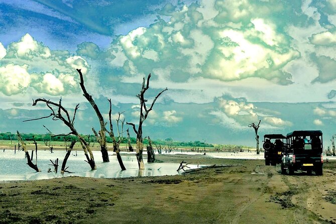 Ultimate 8-Day Sri Lanka Adventure: Private Guided Tour - Day 2: Sigiriya, Dambulla, and Kandy after dark