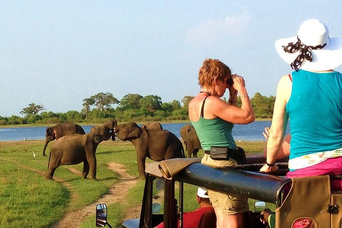 VALUE PACK! One Day Safari Tour to Yala and Udawalawa Parks - Why combine Yala and Udawalawe?