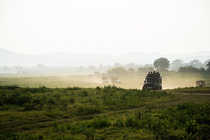 VALUE PACK! One Day Safari Tour to Yala and Udawalawa Parks - Three hours among elephants in Udawalawe