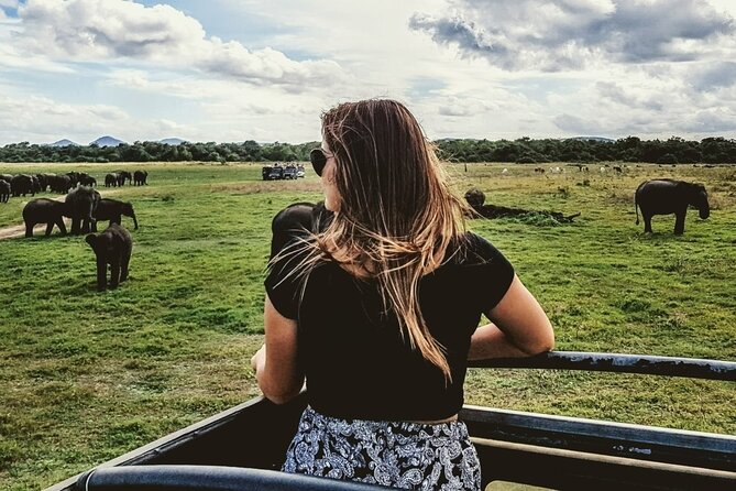 VALUE PACK! One Day Safari Tour to Yala and Udawalawa Parks - What the $100 price really covers
