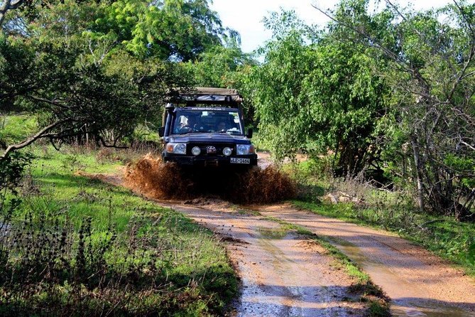 VALUE PACK! One Day Safari Tour to Yala and Udawalawa Parks - Who should book this Yala and Udawalawe tour?