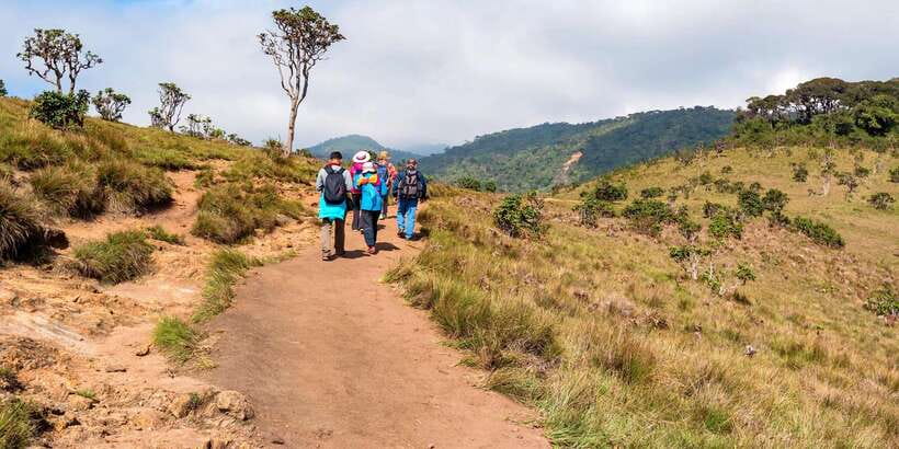 Visit Horton plains and Nuwara Eliya from Ella - The road to Nuwara Eliya is part of the experience
