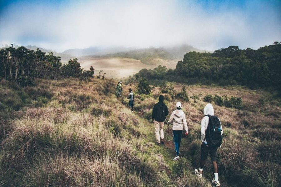 Visit Horton plains and Nuwara Eliya from Ella - Who will enjoy this day most
