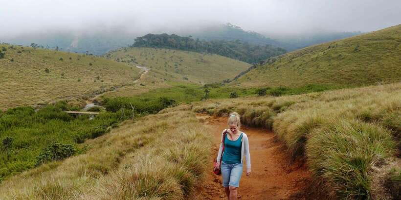 Visit Horton plains and Nuwara Eliya from Kandy - Seeing how Ceylon tea is made