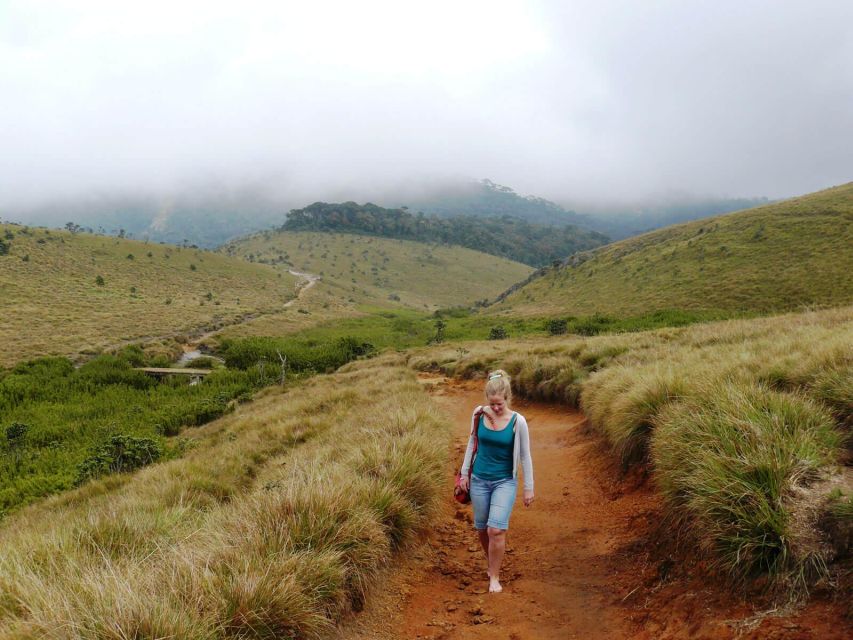 Visit Horton plains and Nuwara Eliya from Kandy - Transport, timing, and the shared-tour tradeoff