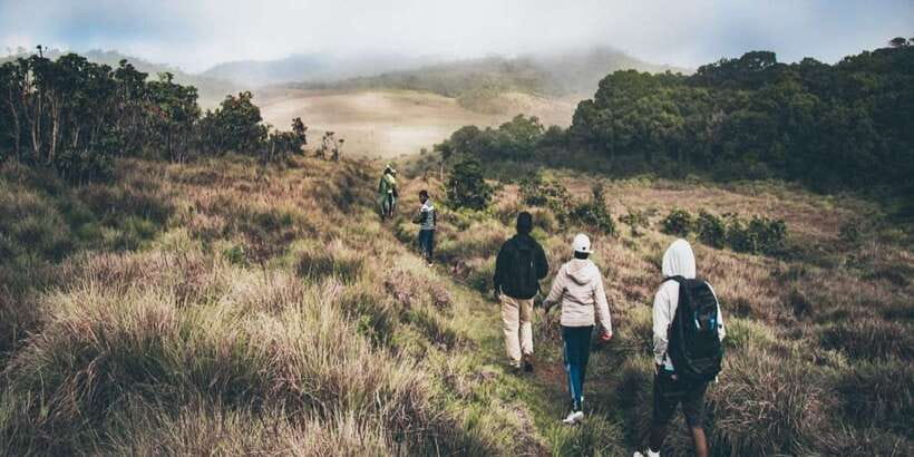 Visit Horton plains and Nuwara Eliya from Kandy - How to make the most of the eight hours