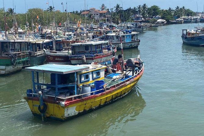 Visit Negombo by Scooty - All Inclusive - The fish market, where Negombo gets to work