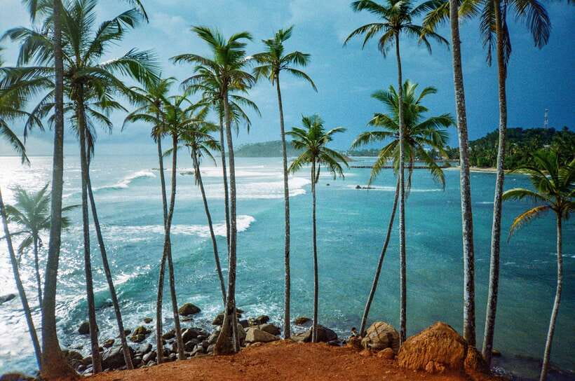 Visit sri Lanka 7 Days Round Trip - What the private guide adds