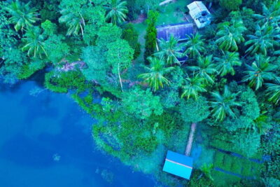 Walawe Palm Safari Udawalawe