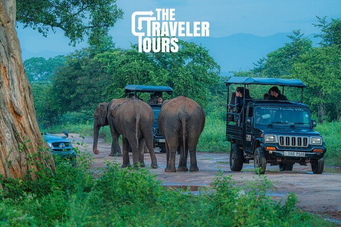 Walawe Palm Safari Udawalawe - Who should book it