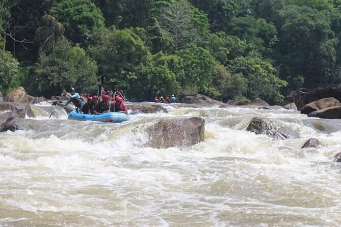 Wasgamuwa National Park Safari from Kandy - What the $104 price really covers