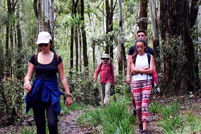 Wasgamuwa National Park Safari from Kandy - Practical details that can make the day better