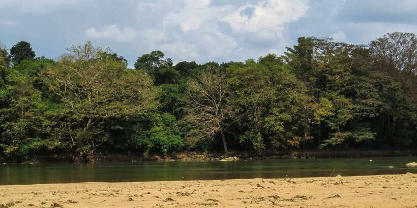 Wasgamuwa: Wasgamuwa National Park Private 3-Hour Safari - What the private format adds