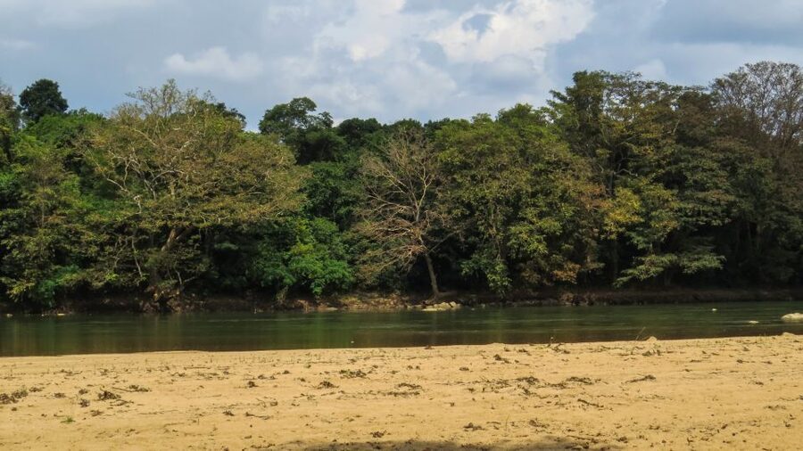 Wasgamuwa: Wasgamuwa National Park Private 3-Hour Safari - Best time to go and how to prepare