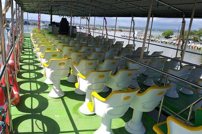 Whale & Dolphin Watching Day Tour including Handunugoda Teafactory - Dolphins, whales, and the limits of nature