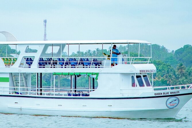 Whale Watching Mirissa Ultimate Tour in Sri Lanka with Breakfast - Key points before you book