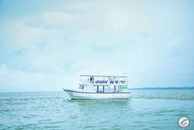 Whale Watching Mirissa Ultimate Tour in Sri Lanka with Breakfast - Responsible viewing and the role of the crew