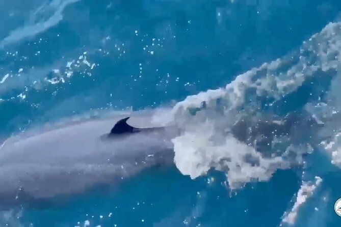 Whale Watching Mirissa Ultimate Tour in Sri Lanka with Breakfast - How the 40-person limit affects comfort