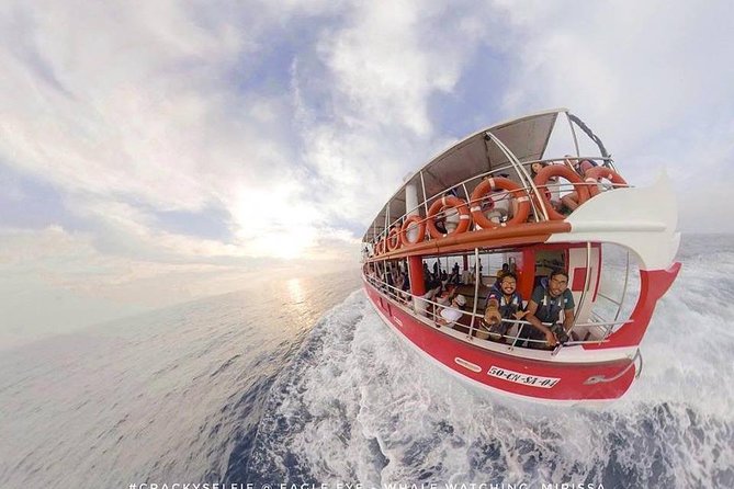 Whale Watching Mirissa with Eagle Eye - The search for blue whales