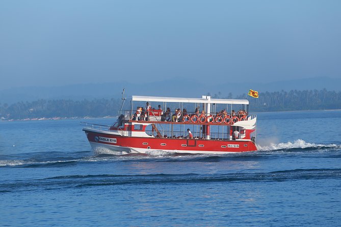 Whale Watching Mirissa with Eagle Eye - Dolphins, turtles, and the wider ocean experience