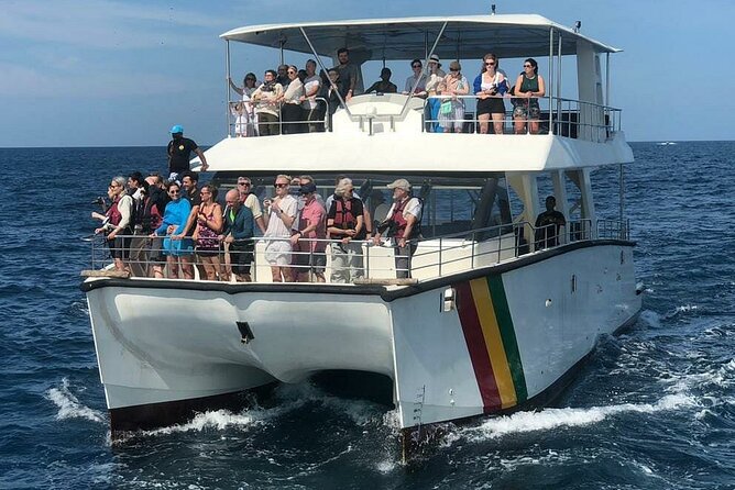 Whale Watching Mirissa with ( WWC ) - An early start from Mirissa Harbour
