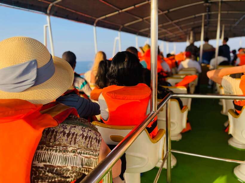 Whale Watching Tour with Transfers - Three to five hours searching the open sea