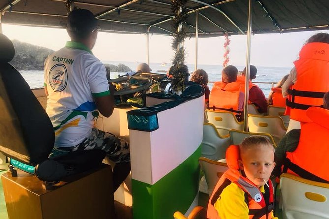 Whales and Dolphins Watching-Luxury Super Grade Cruiser(Hotel Pick up offered) - Respectful wildlife watching and boat behavior