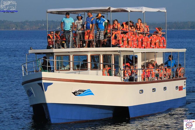 Whales and Dolphins Watching Mirissa - A private tour that fits families and small groups