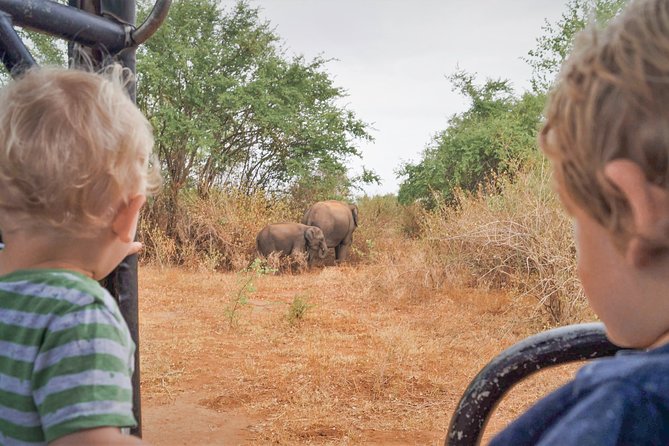 Wild Elephant Safari in Minneriya National Park - Why Minneriya Is Worth Three Hours