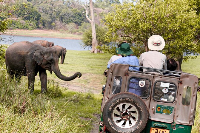 Wild Elephant Safari in Minneriya National Park - The 4x4 Ride and Viewing Setup