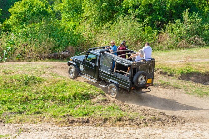 Wild Elephant Safari in Minneriya National Park - What the $30 Price Really Buys